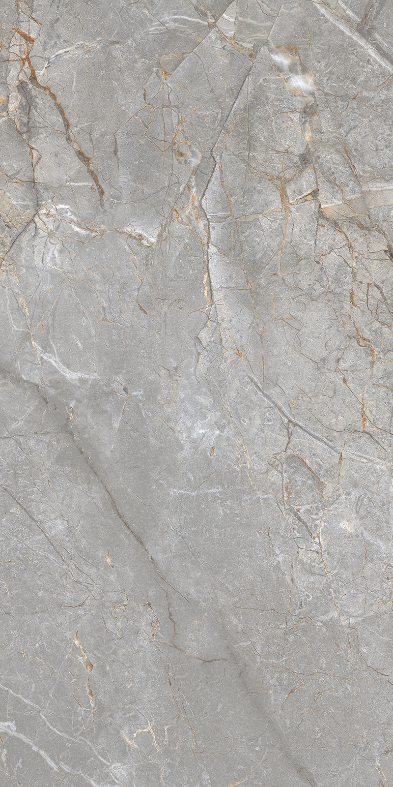 Glossy Finish Stolen Grey (800 x 1600) PGVT 800x1600mm