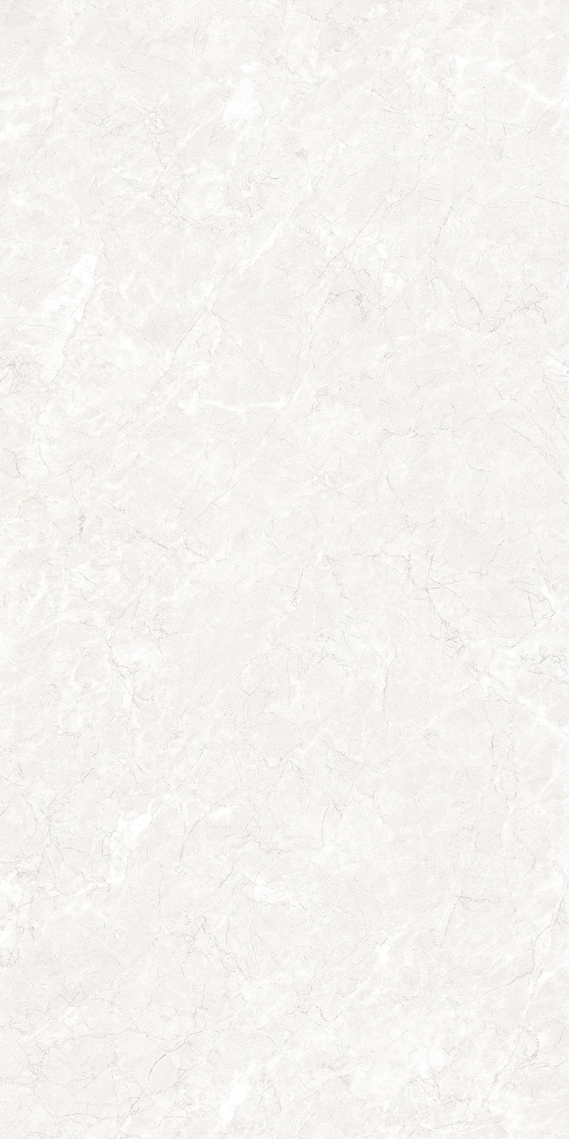 Glossy Finish Supra White (800 x 1600) PGVT 800x1600mm