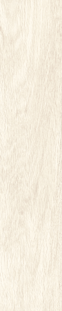 Matte Finish Tuscan White  Porcelain 200x1000mm