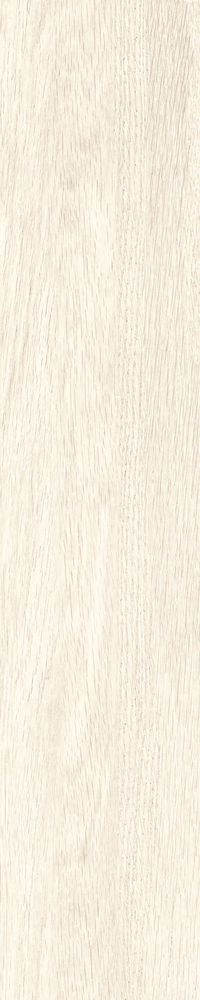 Matte Finish Tuscan White  Porcelain 200x1000mm