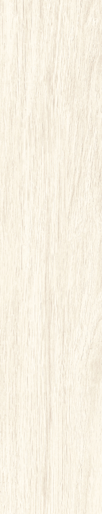Matte Finish Tuscan White  Porcelain 200x1000mm