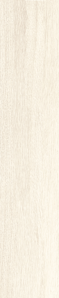 Matte Finish Tuscan White  Porcelain 200x1000mm