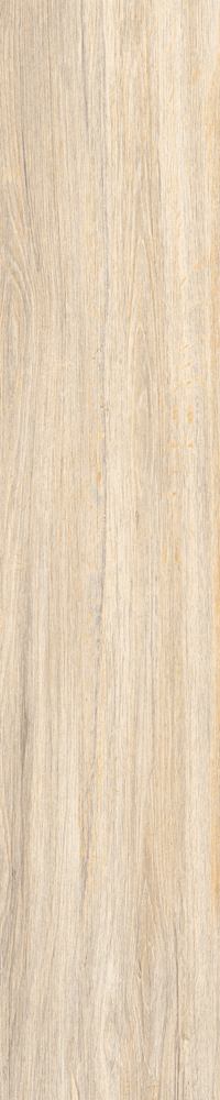 Matte Finish Verona Orange  Porcelain 200x1000mm