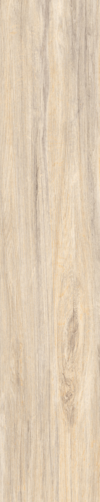 Matte Finish Verona Orange  Porcelain 200x1000mm