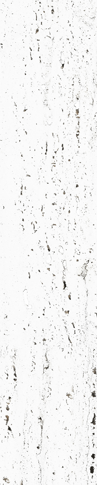 Travertine Stone Tiles