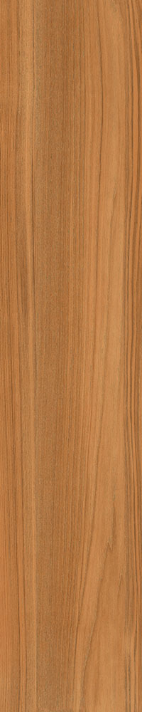 Matte Finish Wild Cherry Porcelain 200x1000mm