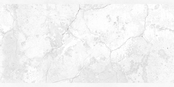 Matte Finish W Evans 09 Ceramic 300x600mm