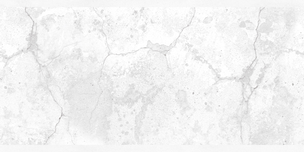 Matte Finish W Evans 09 Ceramic 300x600mm