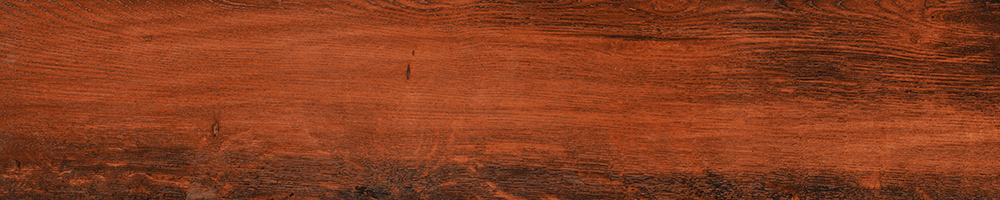 10002 200x1000mm Matte Porcelain tile in a wood look