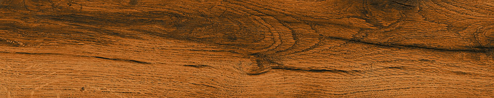 Matte Finish 10006 Porcelain 200x1000mm