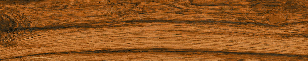 Matte Finish 10006 Porcelain 200x1000mm