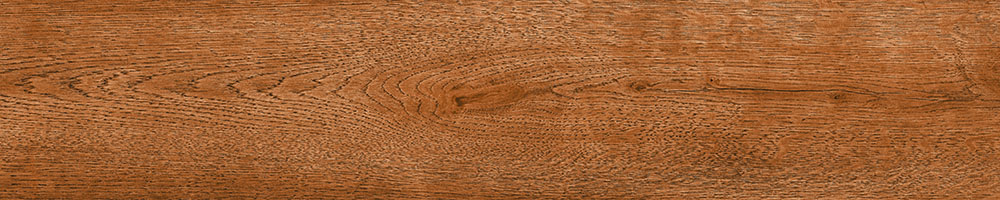 Matte Finish 10014 Porcelain 200x1000mm