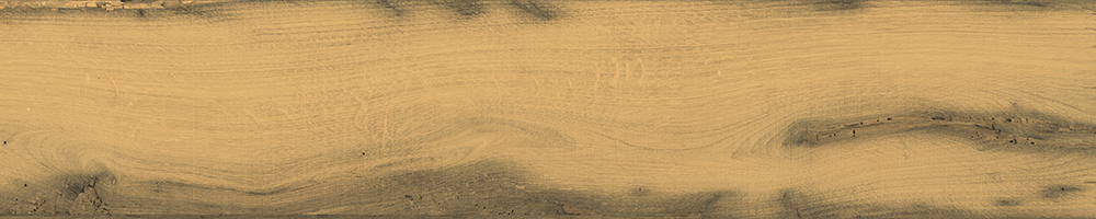 Matte Finish 10020 Porcelain 200x1000mm