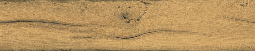 Matte Finish 10020 Porcelain 200x1000mm