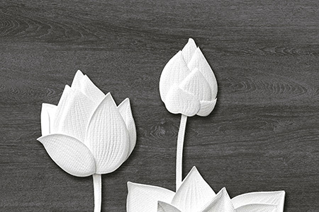 Glossy Finish 10648-HL-1 Ceramic 300x450mm