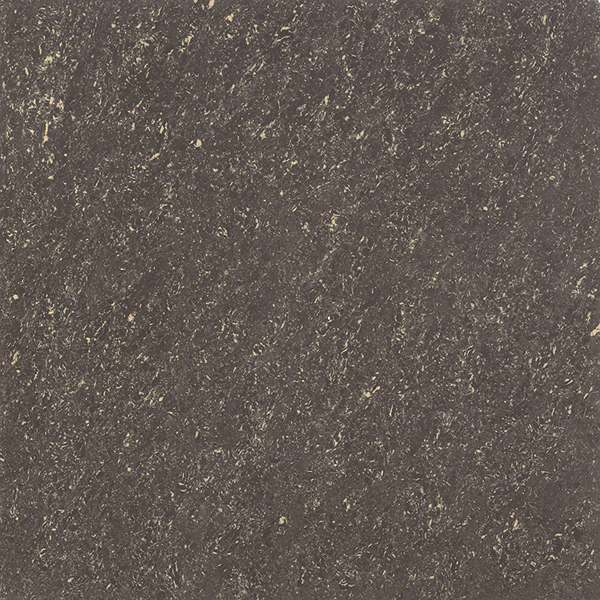 Glossy Finish Coffee Double Charge 600x600mm