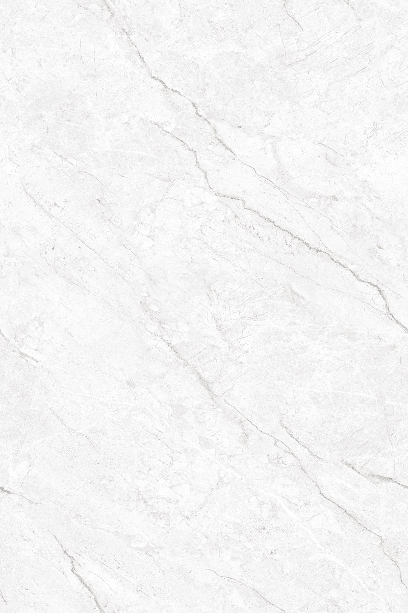 Glossy Finish ANJC-324809 PGVT 800x1200mm