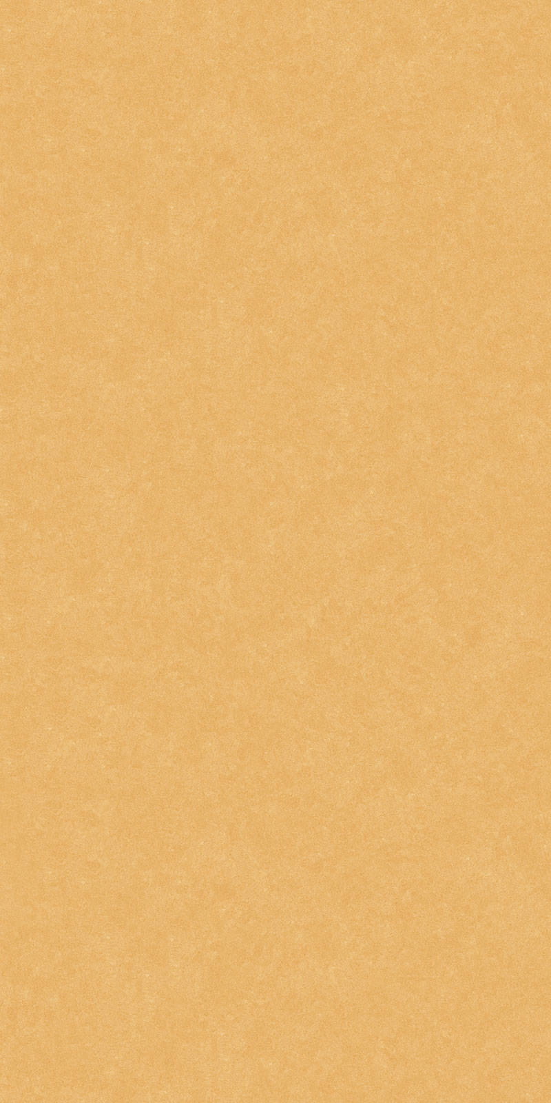 Matte Finish ANJC- COTTO SEALINE MUSTERD GVT 800x1600mm