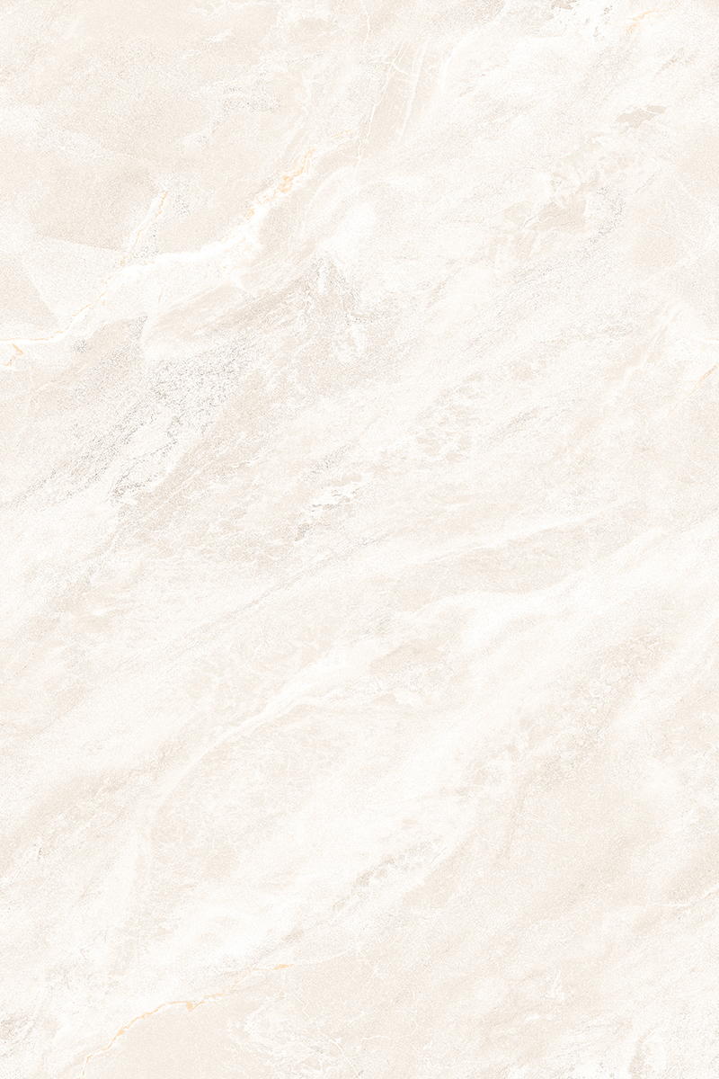 Glossy Finish ANJC-324802 PGVT 800x1200mm