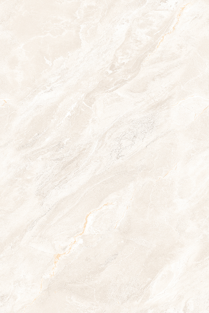 Glossy Finish ANJC-324802 PGVT 800x1200mm