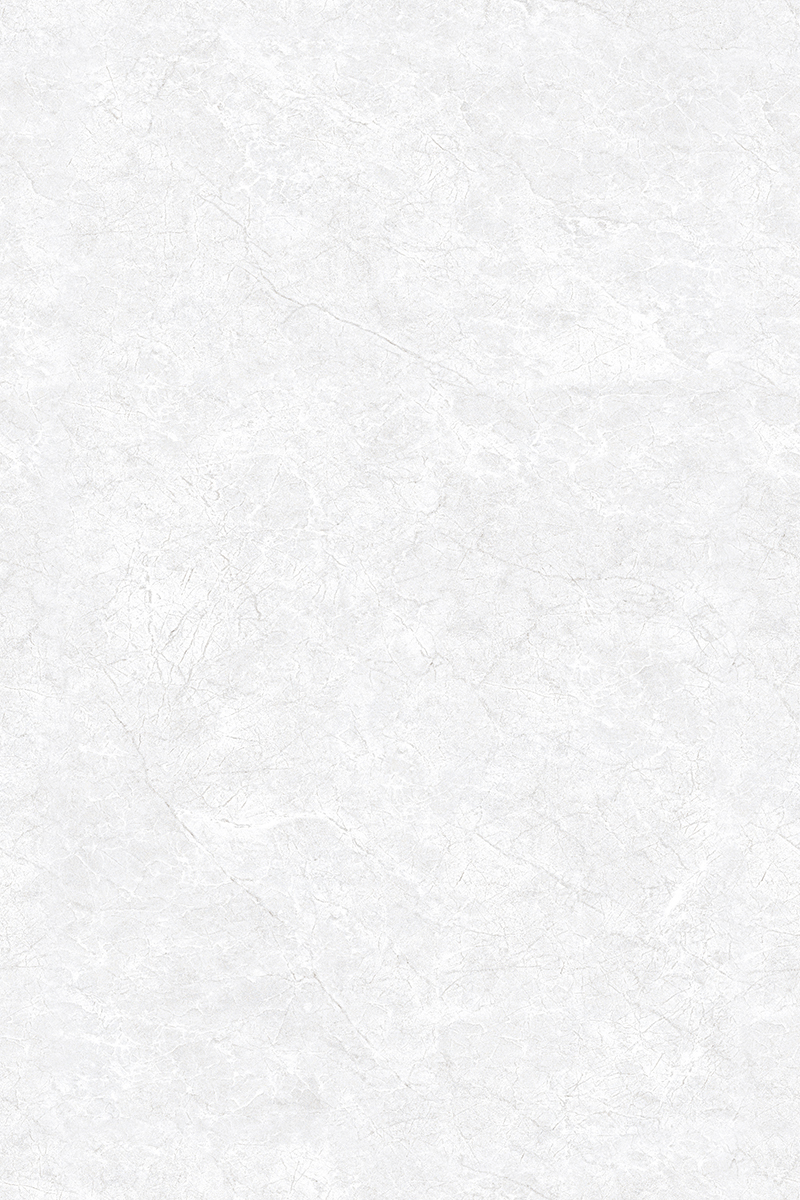 Glossy Finish ANJC-324816 PGVT 800x1200mm