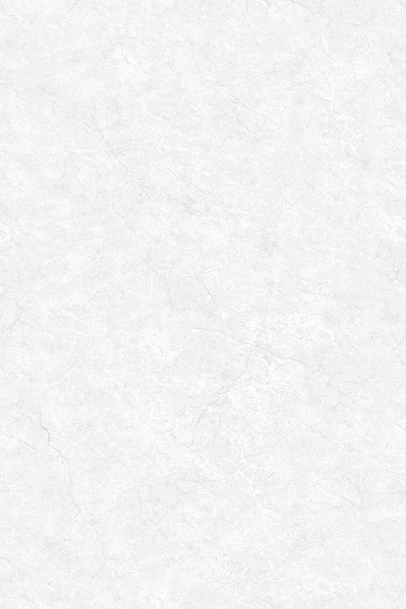 Glossy Finish ANJC-324816 PGVT 800x1200mm