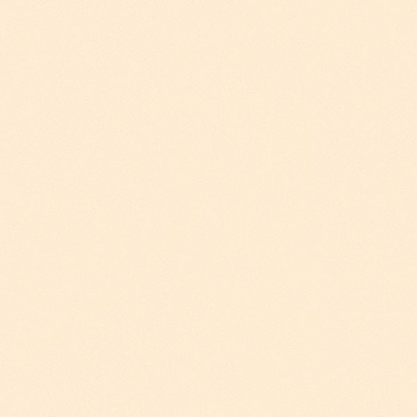 Matte Finish RUSTIC IVORY_OK GVT 600x600mm