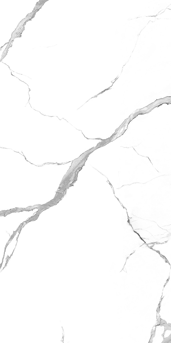 Glossy Finish 7301 GVT 600x1200mm