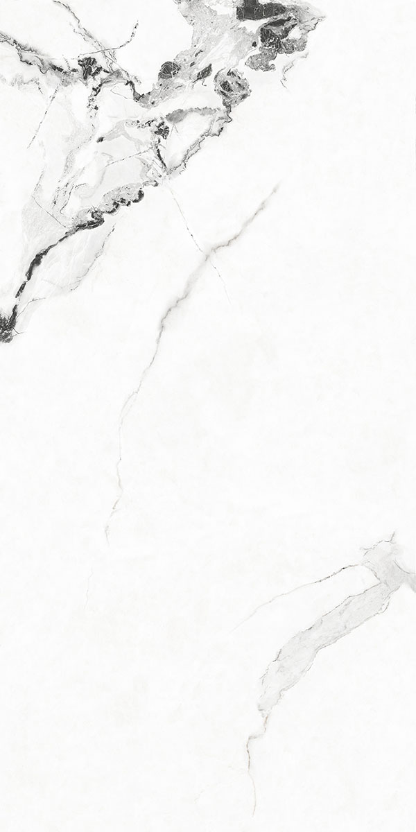 Glossy Finish 7303 GVT 600x1200mm