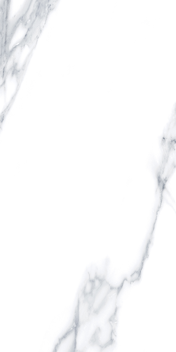 Glossy Finish 7306 GVT 600x1200mm