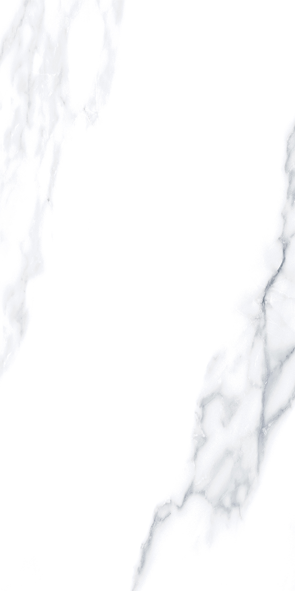 Glossy Finish 7306 GVT 600x1200mm