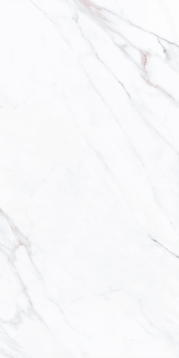 Pantone Mesto White