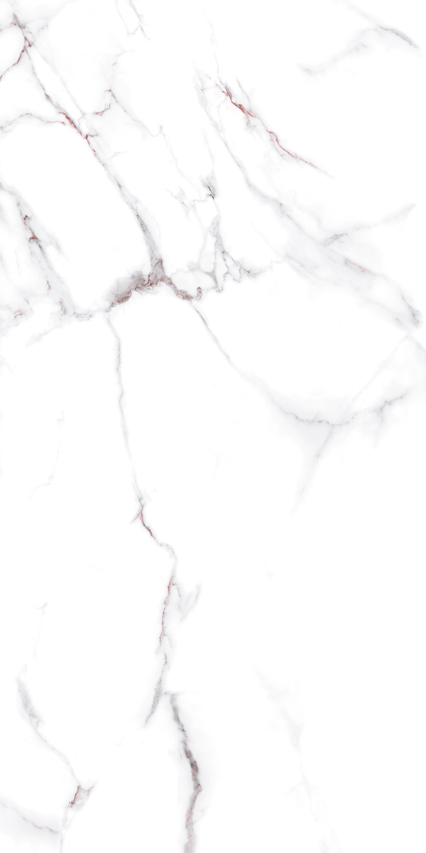 Pantone Paradiese White