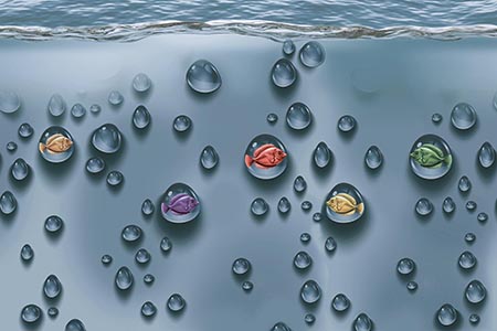 Glitter Finish 10862-HL2 Ceramic 300x450mm