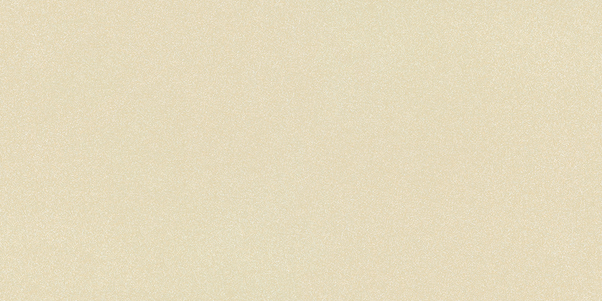 Matte Finish 60120FBM BEIGE Full Body 600x1200mm