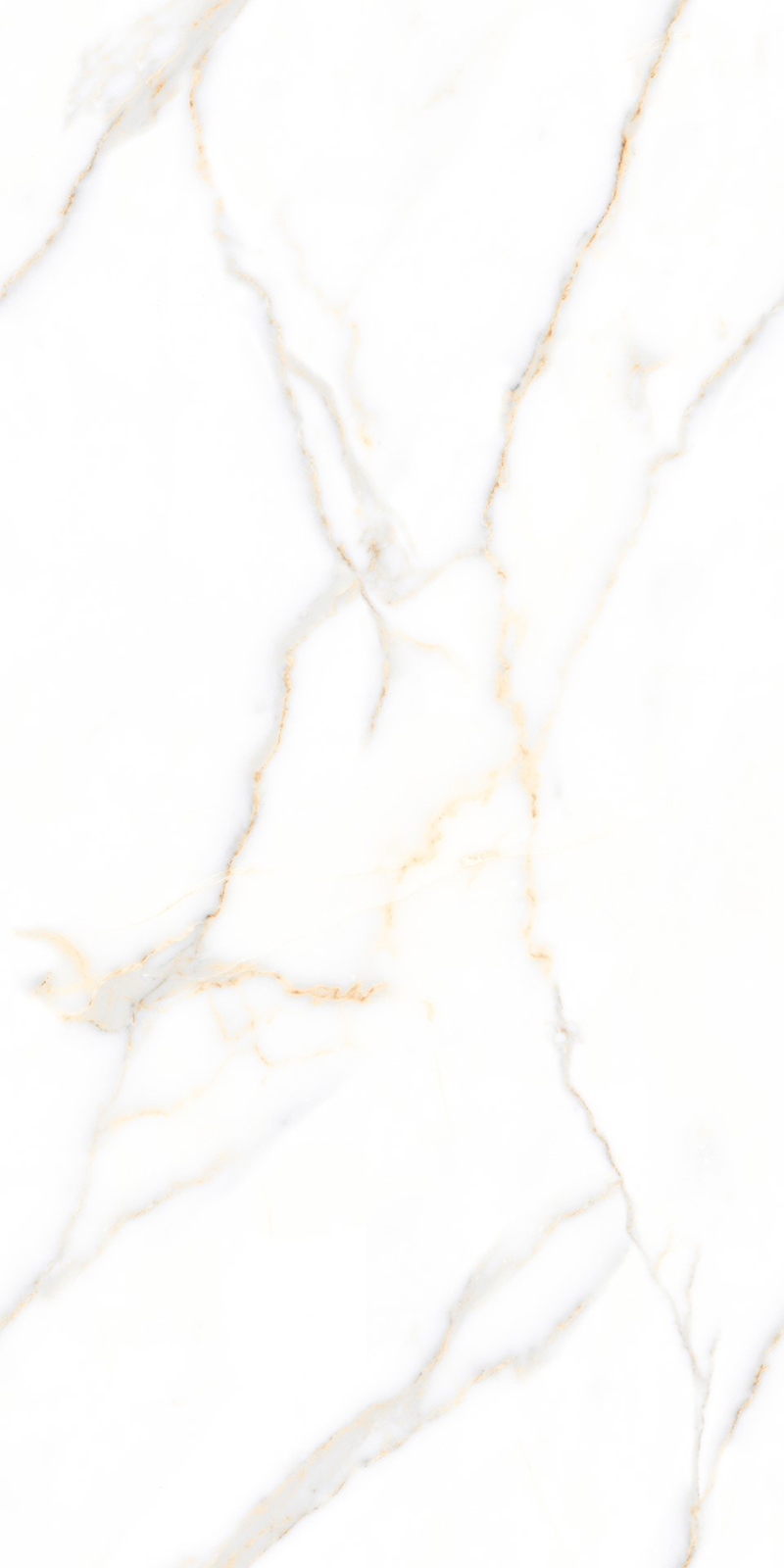 Glossy Finish 80160GL ALBORA WHITE GVT 800x1600mm