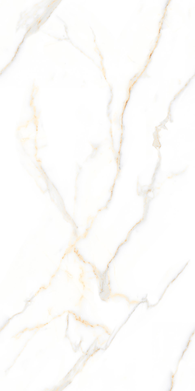 Glossy Finish 80160GL ALBORA WHITE GVT 800x1600mm