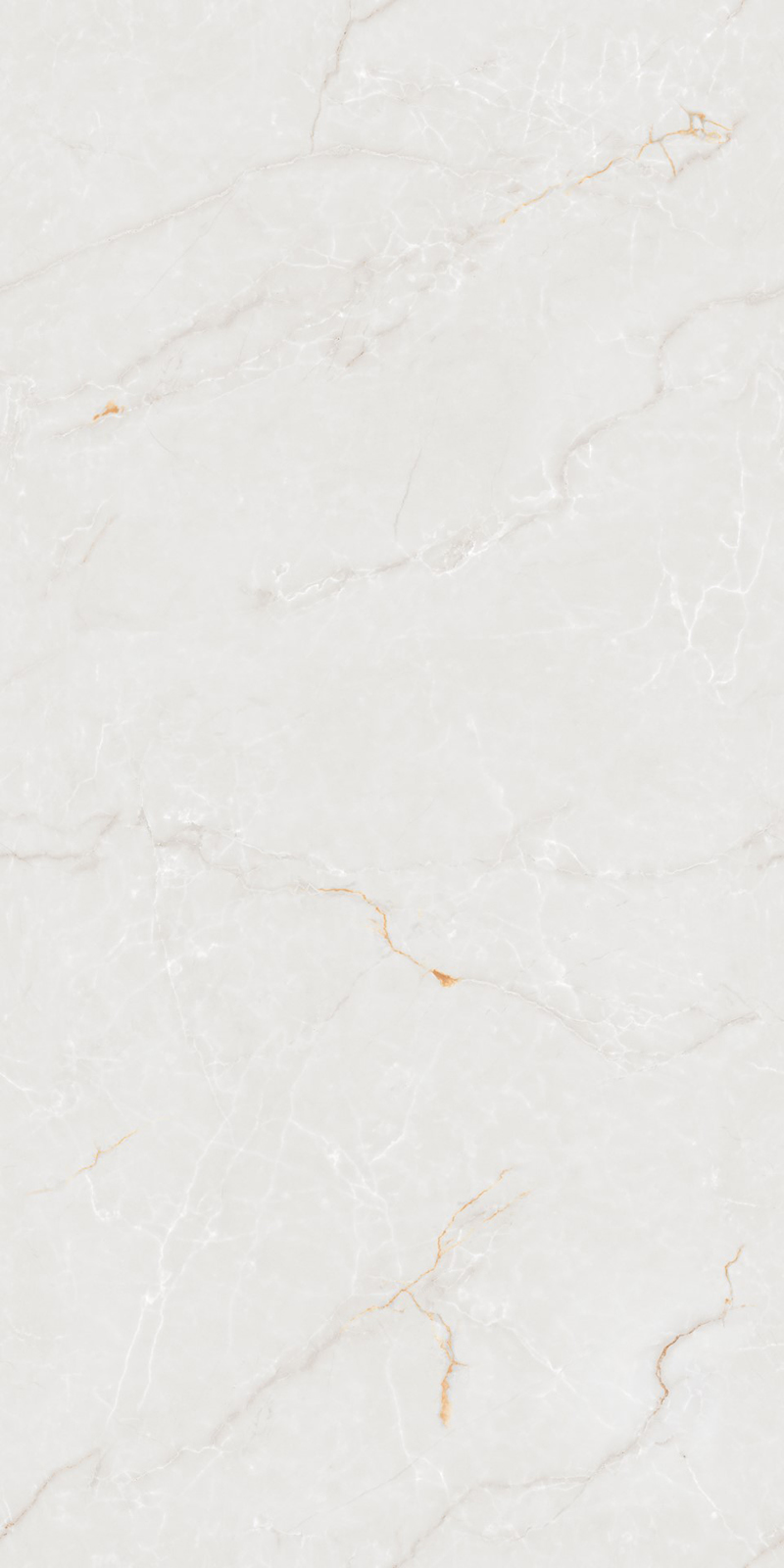 Glossy Finish 80160GL PORFIDO ICE GVT 800x1600mm