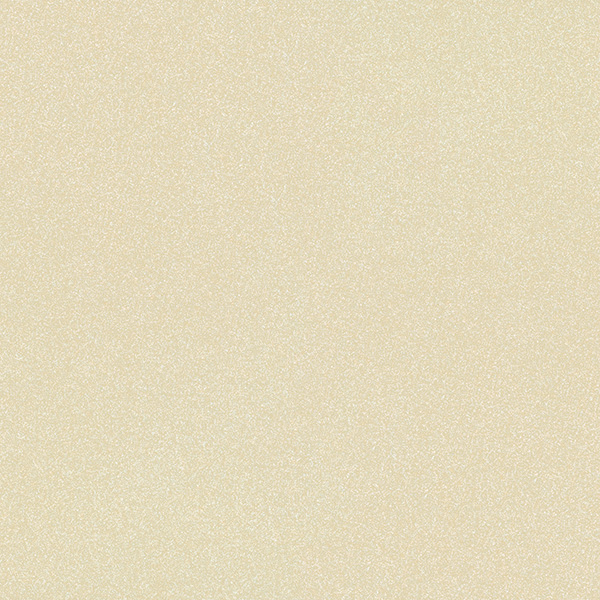 Matte Finish 6060FBM BEIGE Full Body 600x600mm
