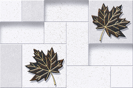 ceramic wall tiles