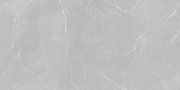 Glossy Finish 24808 D  Ceramic 300x600mm