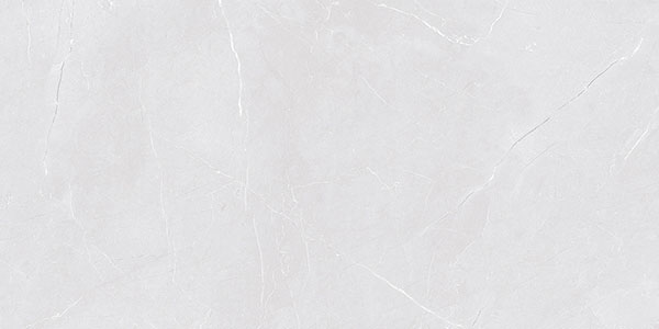 Glossy Finish 24808 L1 Ceramic 300x600mm