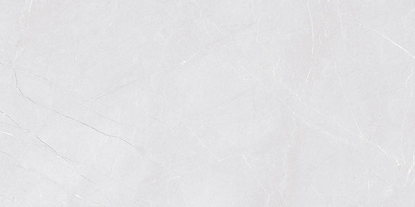 Glossy Finish 24808 L1 Ceramic 300x600mm