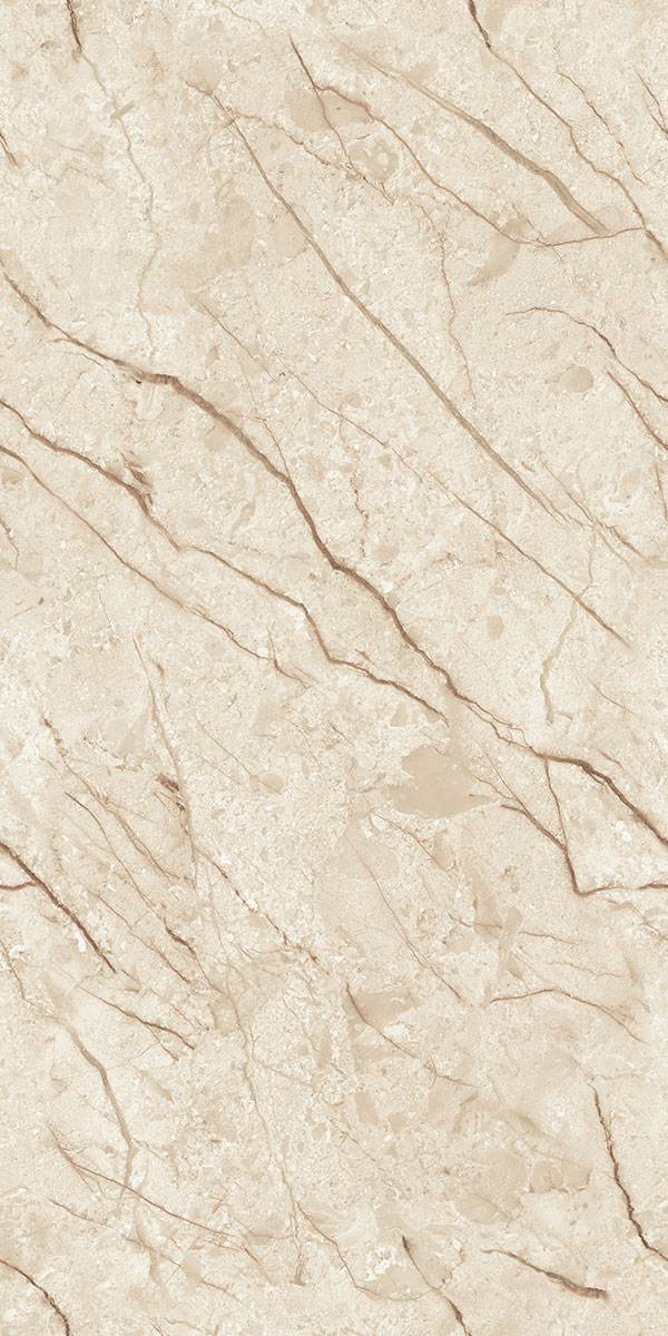 Glossy Finish EL 04 PGVT 600x1200mm