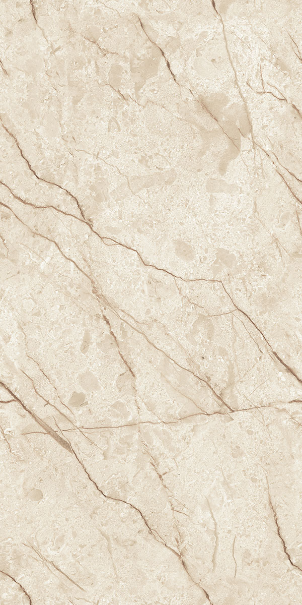 Glossy Finish EL 04 PGVT 600x1200mm