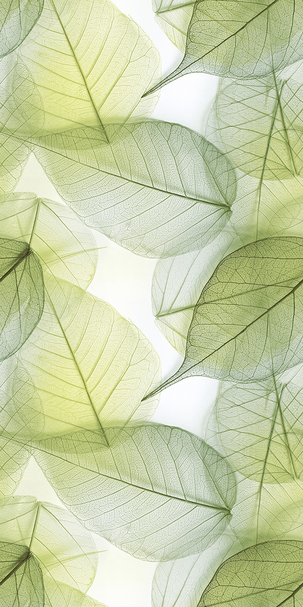 GREEN LEAF(1230X630)