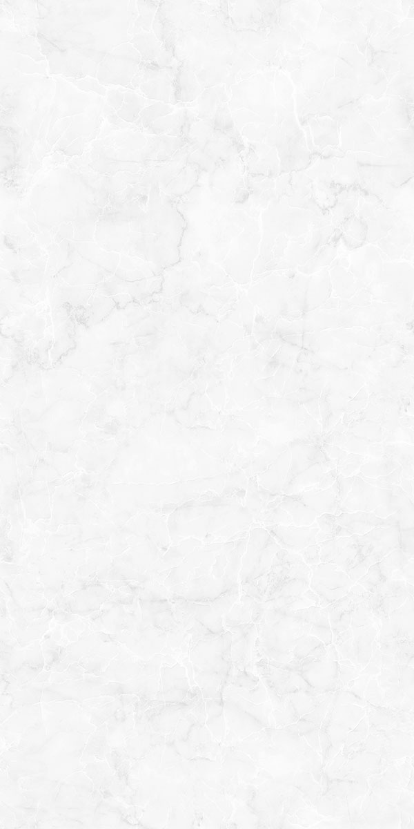 Glossy Finish PHONIX LIGHT PGVT 600x1200mm