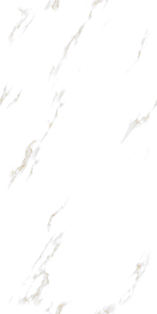 Glossy Finish STATUARIO EVA PGVT 600x1200mm