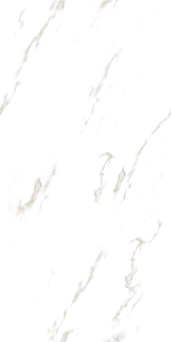 Glossy Finish STATUARIO EVA PGVT 600x1200mm