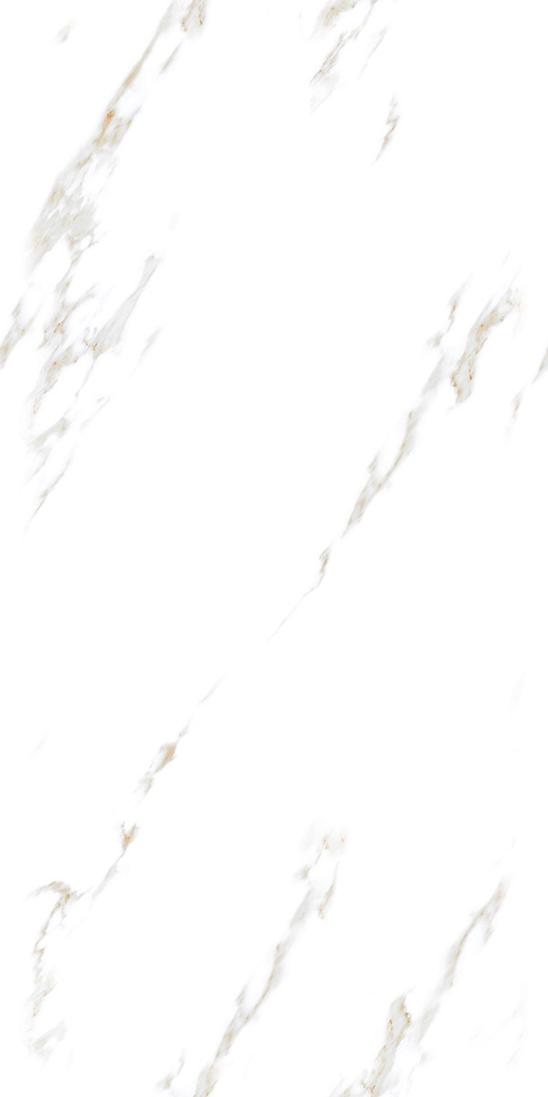 Glossy Finish STATUARIO EVA PGVT 600x1200mm